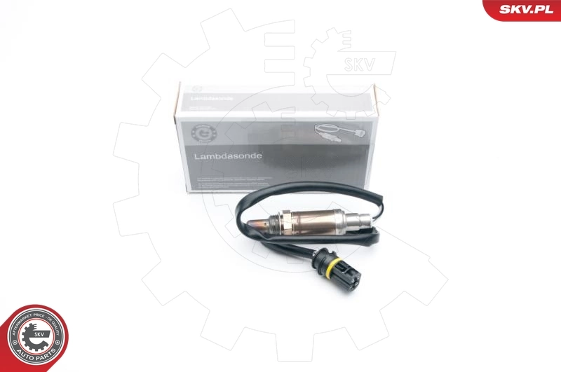 Oxygen Sensor